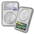 1 oz American Silver Eagle Coin E2619