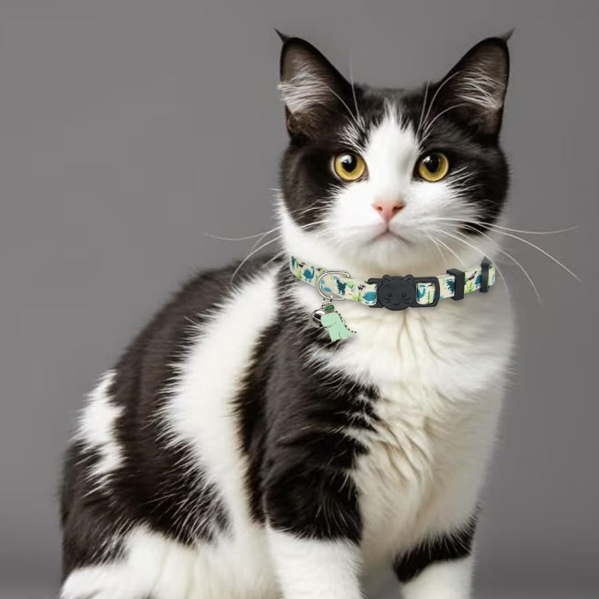 Breakaway Cat Collar I468873