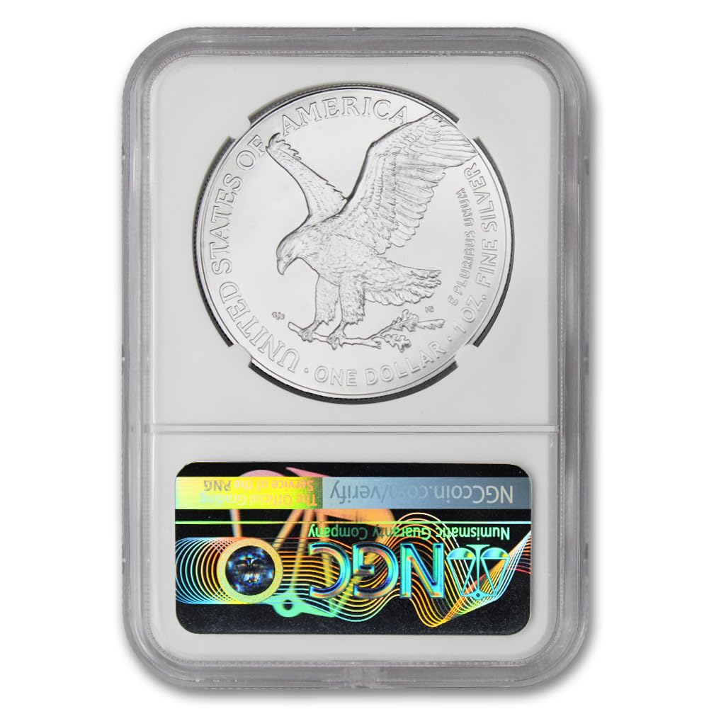 1 oz American Silver Eagle Coin E2619