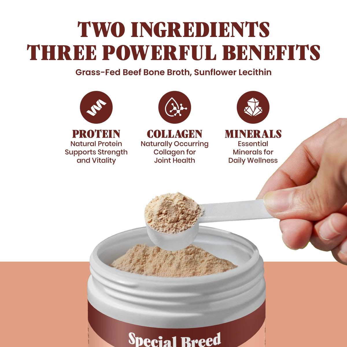 Grass Fed Beef Bone Broth Powder for Dogs and Cats 9.5oz P709
