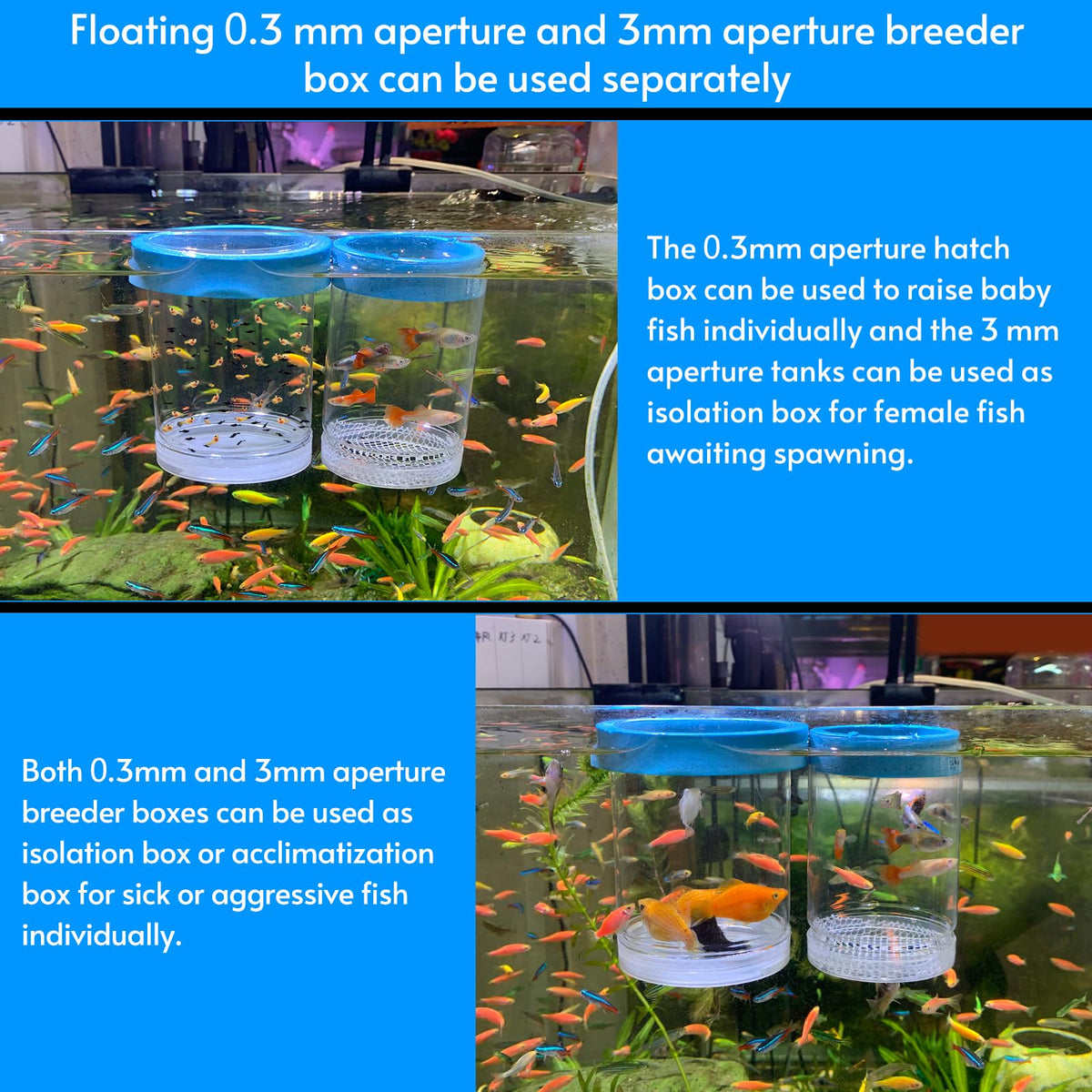 Breeder Box for Fish Tank Isolation Aquarium Separator Hatchery Incubator C8747