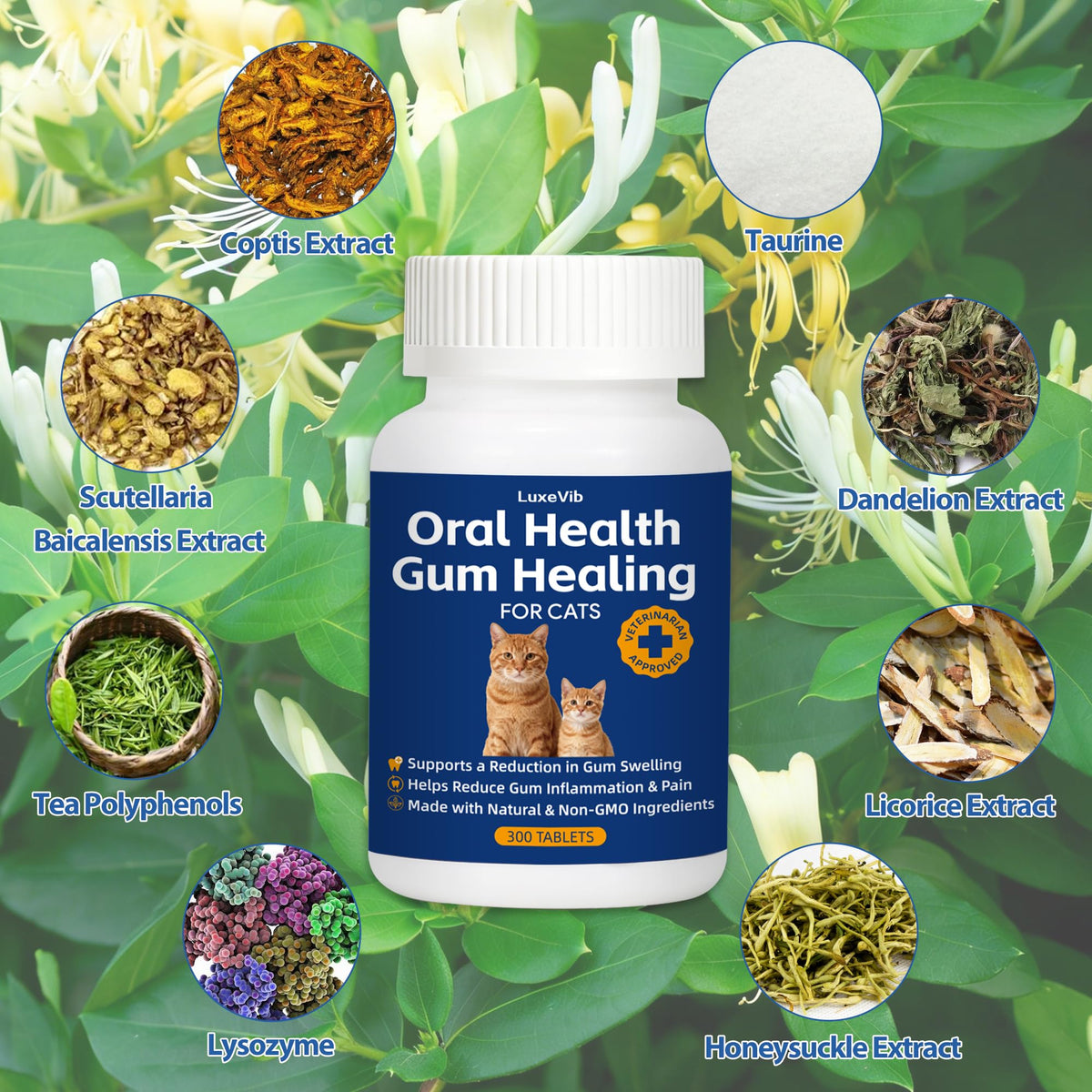 Natural Plant-Based Cat Oral Care O744483