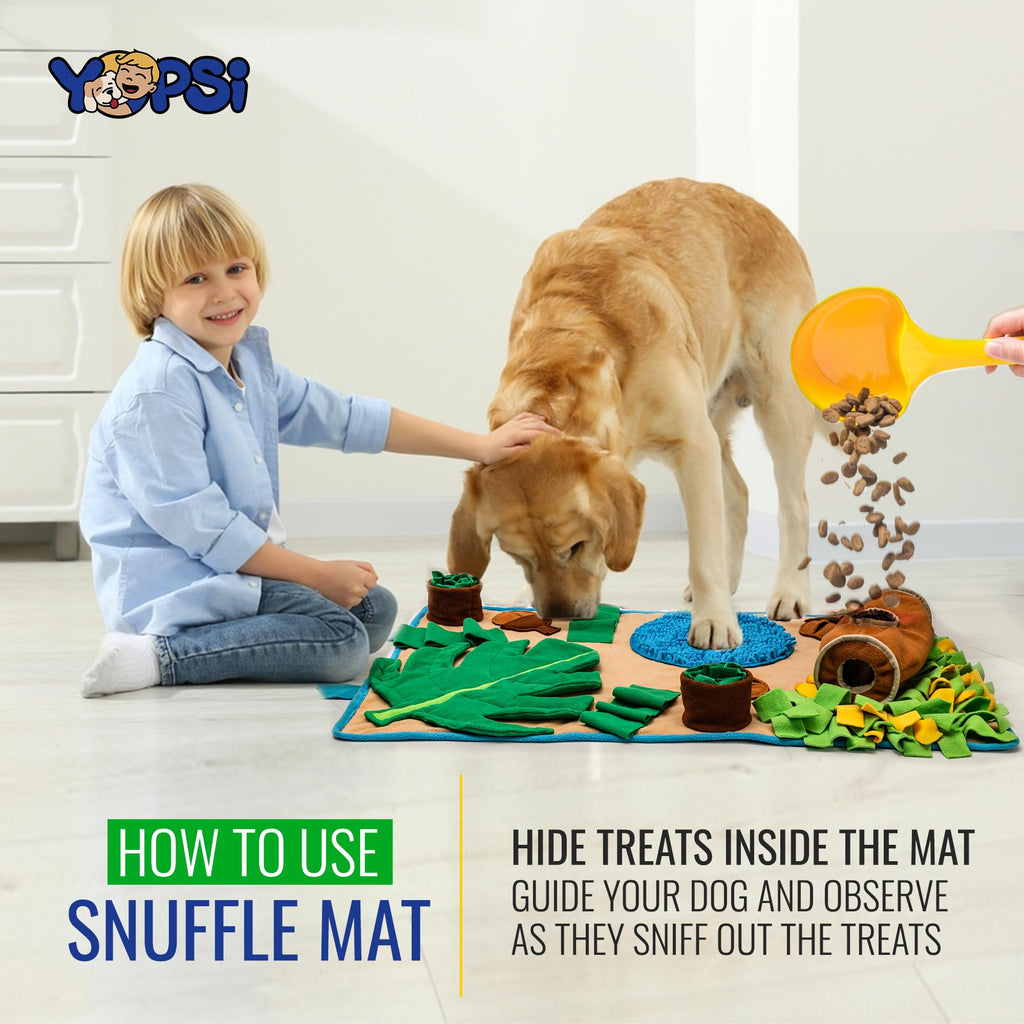 Large Breed Snuffle Mat B804939
